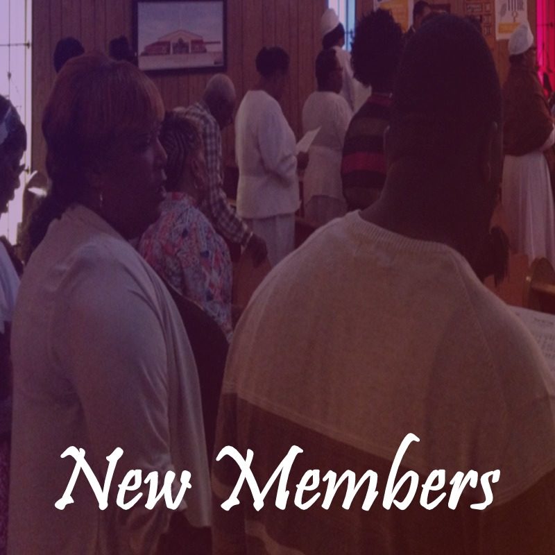 newmembers_getconnected